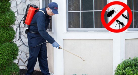 Çatalca Akrep İlaçlama böcek ilaçlama ve haşere kontrolü — ilaclama-tr.com